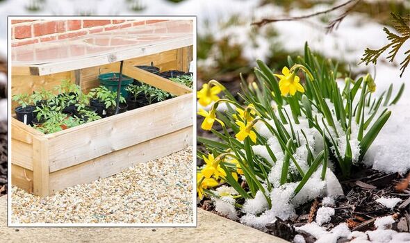Frost damage Seven ways to protect your plants from the frosty spring weather 1590236 Frost-tørkeskade i drivhuset